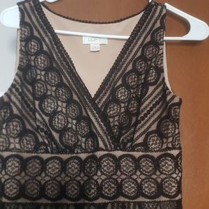 Ann Taylor Loft dress